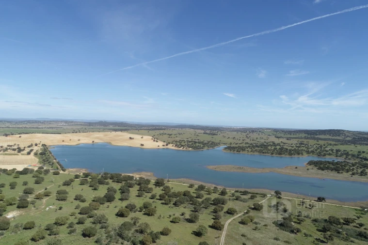 Terreno para Venda em Alcaçovas