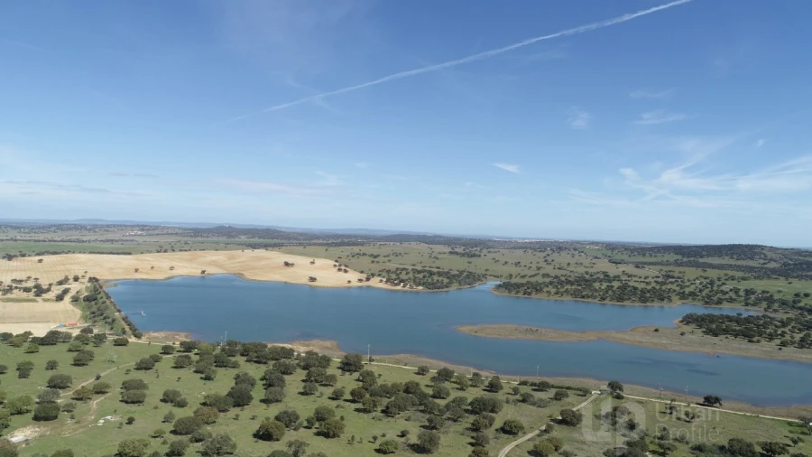 Terreno para Venda em Alcaçovas