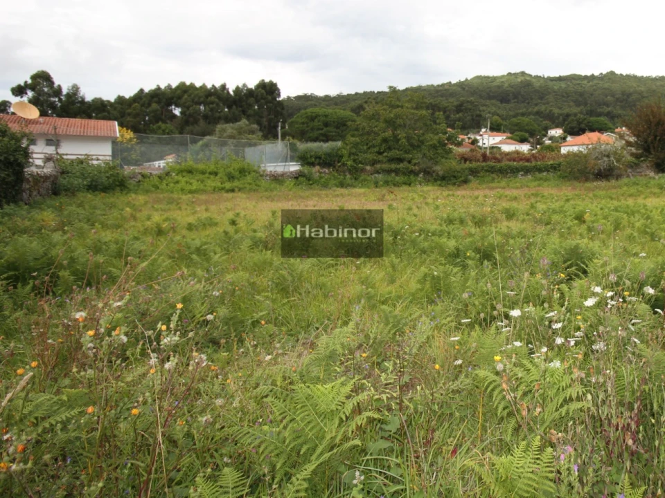 Terreno para Venda em Afife Foto 1