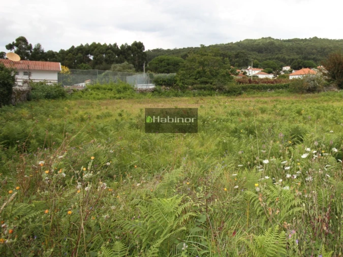 Terreno para Venda em Afife Foto 1