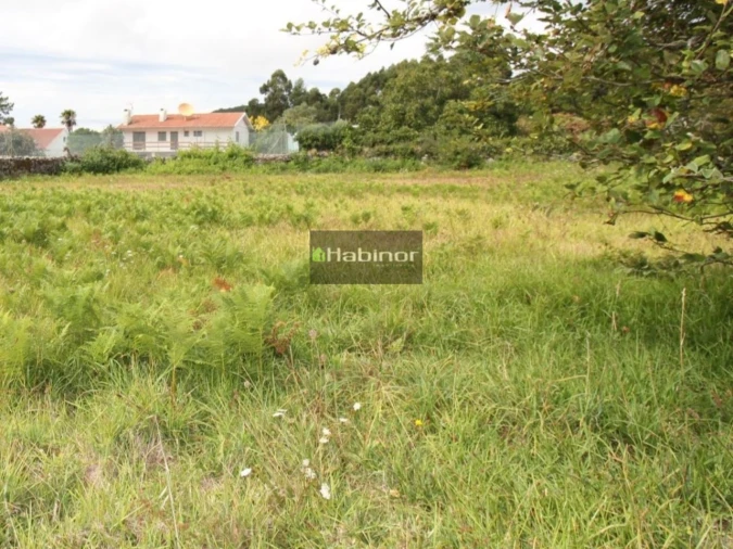 Terreno para Venda em Afife Foto 4