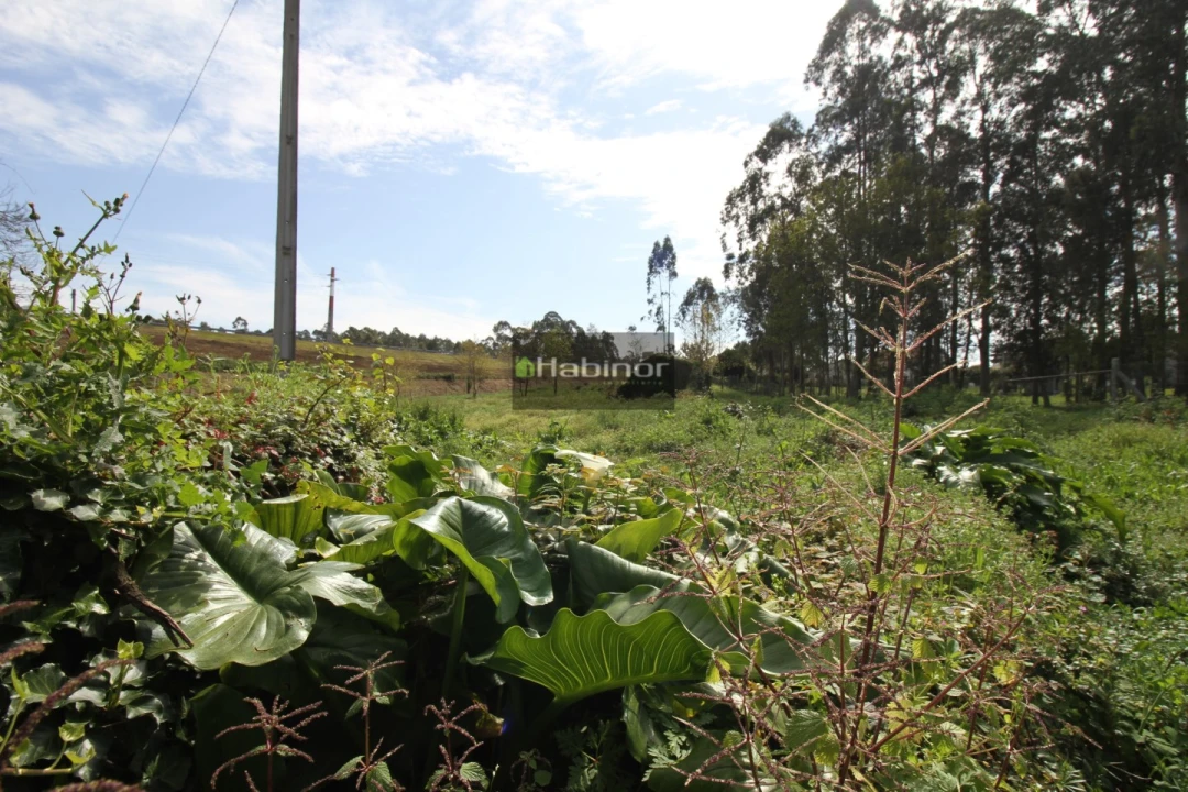 Terreno para Venda em Mazarefes e Vila Fria Foto 2