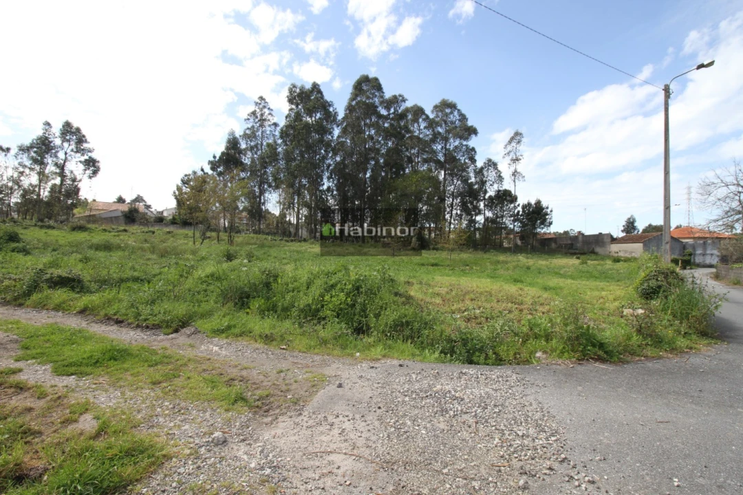 Terreno para Venda em Mazarefes e Vila Fria Foto 1