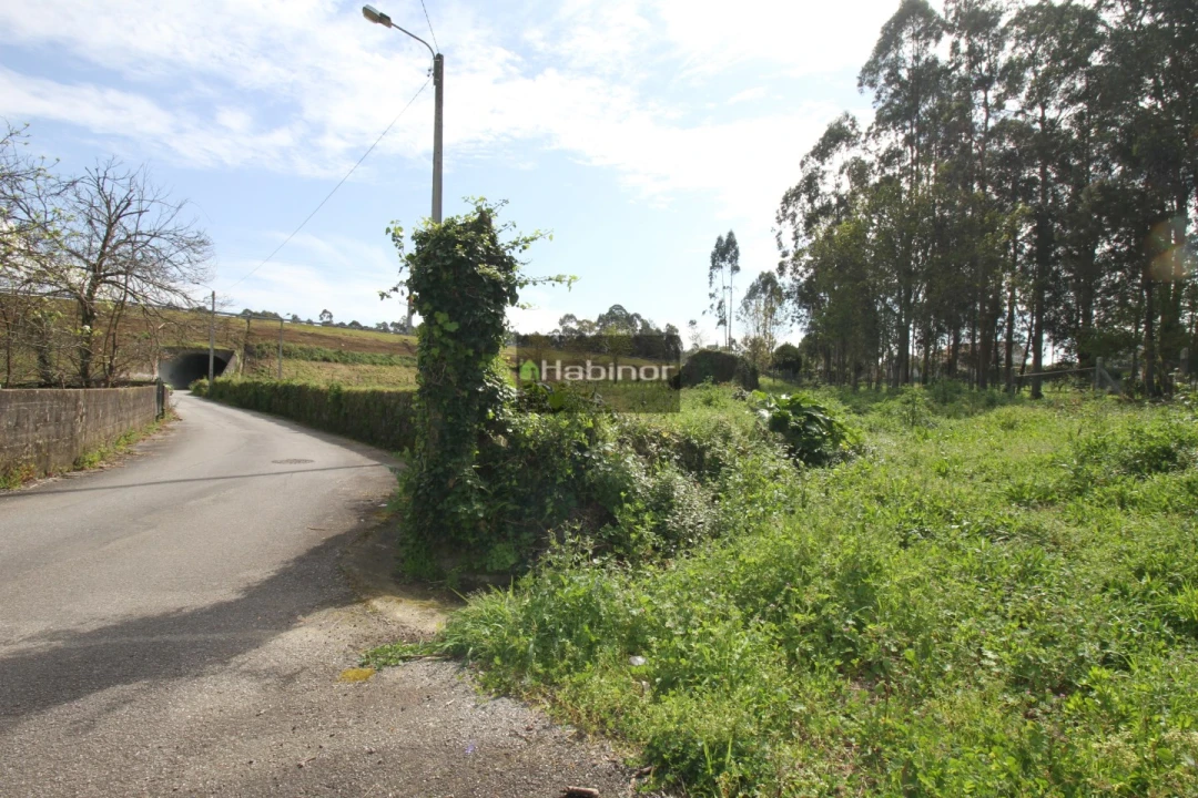 Terreno para Venda em Mazarefes e Vila Fria Foto 3