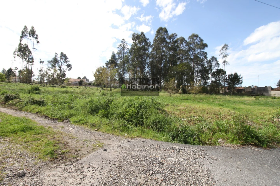 Terreno para Venda em Mazarefes e Vila Fria Foto 4