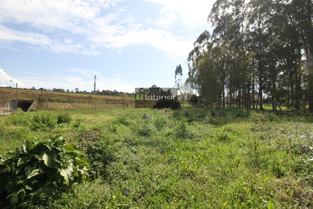 Terreno para Venda em Mazarefes e Vila Fria Foto 5