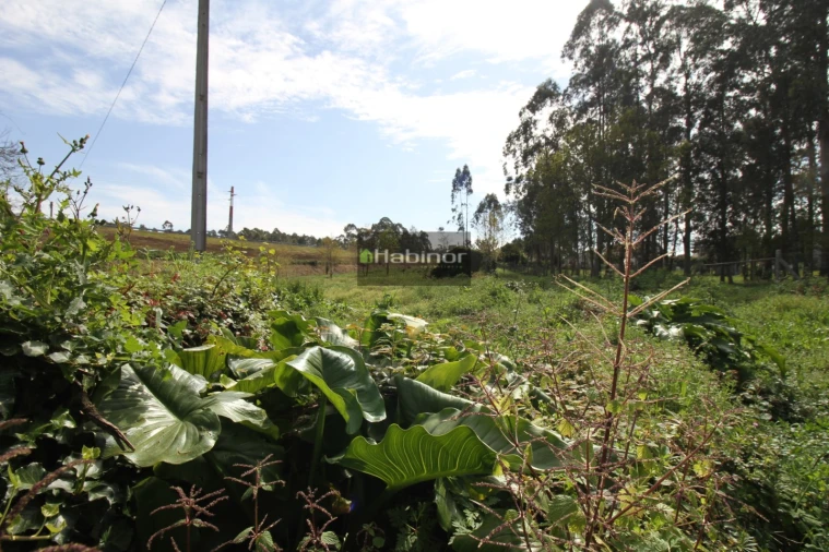 Terreno para Venda em Mazarefes e Vila Fria Foto 2