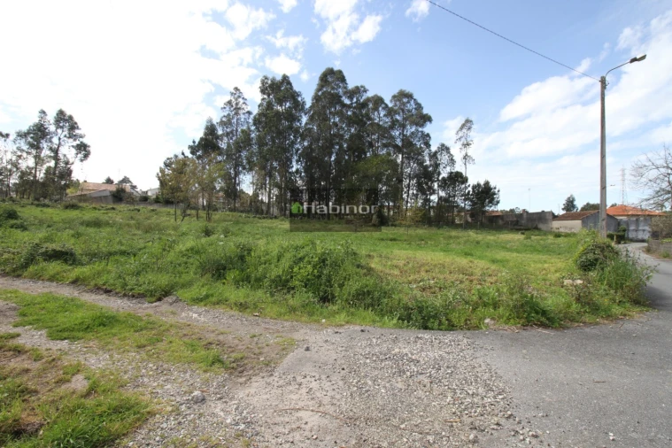 Terreno para Venda em Mazarefes e Vila Fria