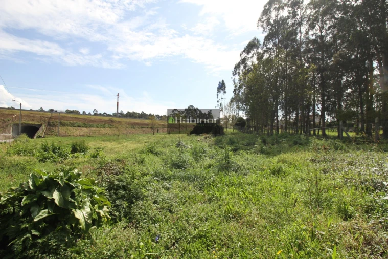 Terreno para Venda em Mazarefes e Vila Fria Foto 5