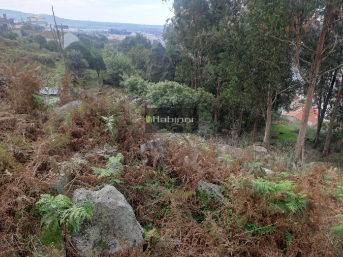 Terreno para Venda em Santa Maria Maior e Monserrate e Meadela
