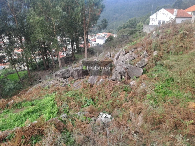 Terreno para Venda em Santa Maria Maior e Monserrate e Meadela Foto 3