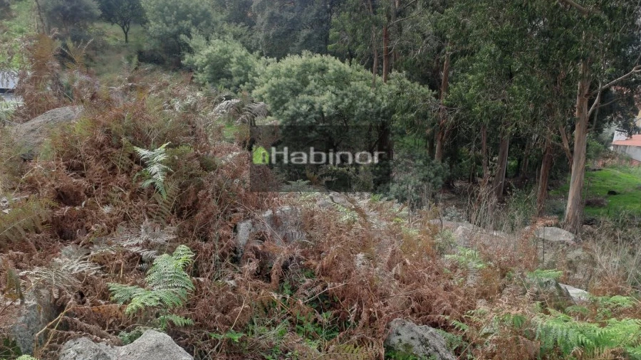Terreno para Venda em Santa Maria Maior e Monserrate e Meadela