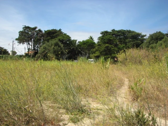 Terreno para Venda em Cascais e Estoril Foto 9