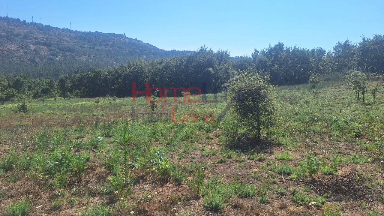 Terreno para Venda em Mangualde, Mesquitela e Cunha Alta Foto 1