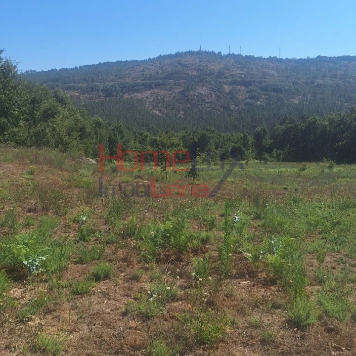Terreno para Venda em Mangualde, Mesquitela e Cunha Alta Foto 2
