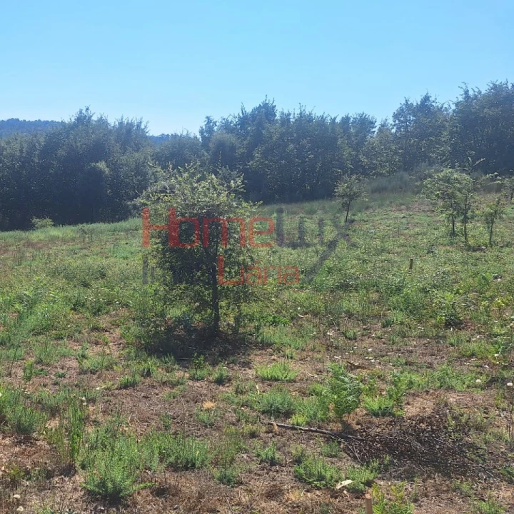 Terreno para Venda em Mangualde, Mesquitela e Cunha Alta Foto 3