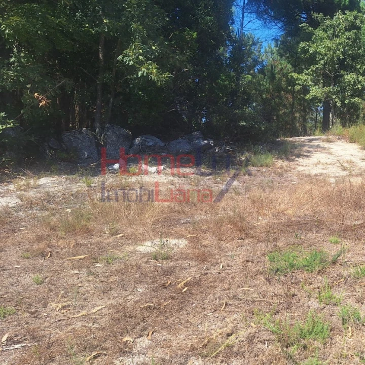Terreno para Venda em Mangualde, Mesquitela e Cunha Alta Foto 4