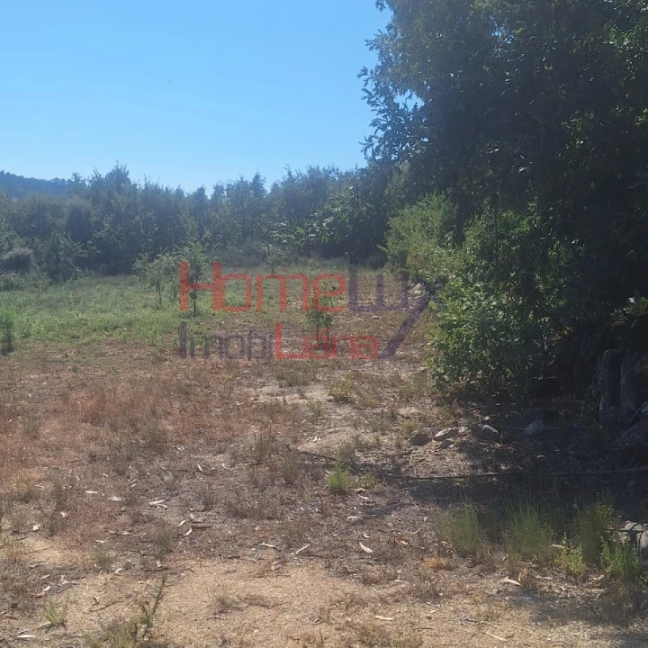 Terreno para Venda em Mangualde, Mesquitela e Cunha Alta Foto 5
