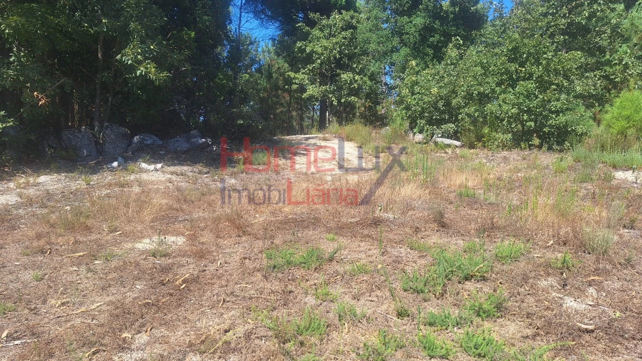 Terreno para Venda em Mangualde, Mesquitela e Cunha Alta Foto 8