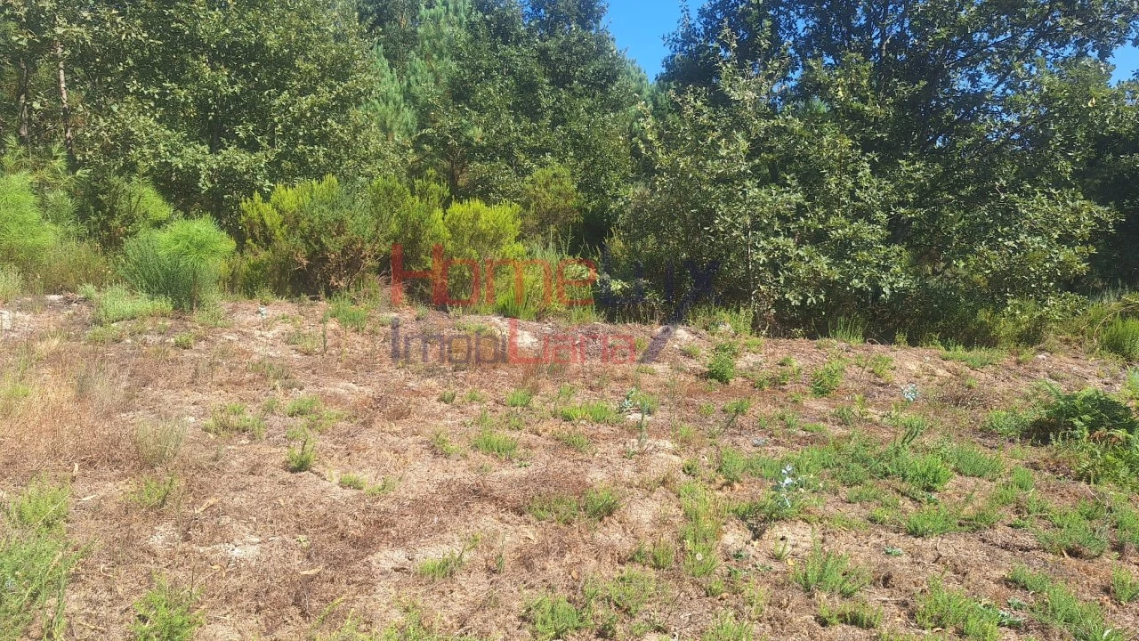 Terreno para Venda em Mangualde, Mesquitela e Cunha Alta Foto 9