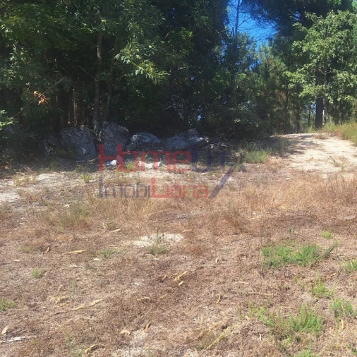 Terreno para Venda em Mangualde, Mesquitela e Cunha Alta Foto 4