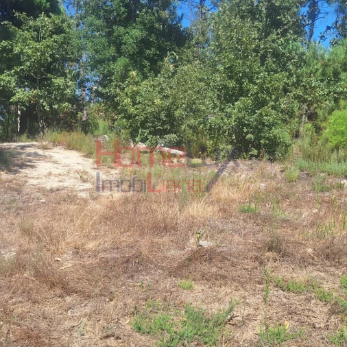 Terreno para Venda em Mangualde, Mesquitela e Cunha Alta Foto 6