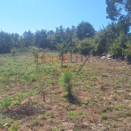 Terreno para Venda em Mangualde, Mesquitela e Cunha Alta Foto 7