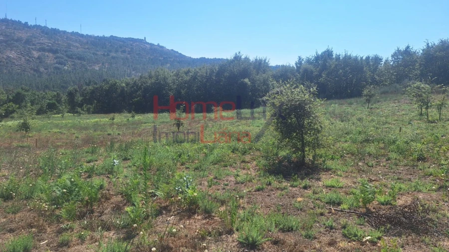 Terreno para Venda em Mangualde, Mesquitela e Cunha Alta