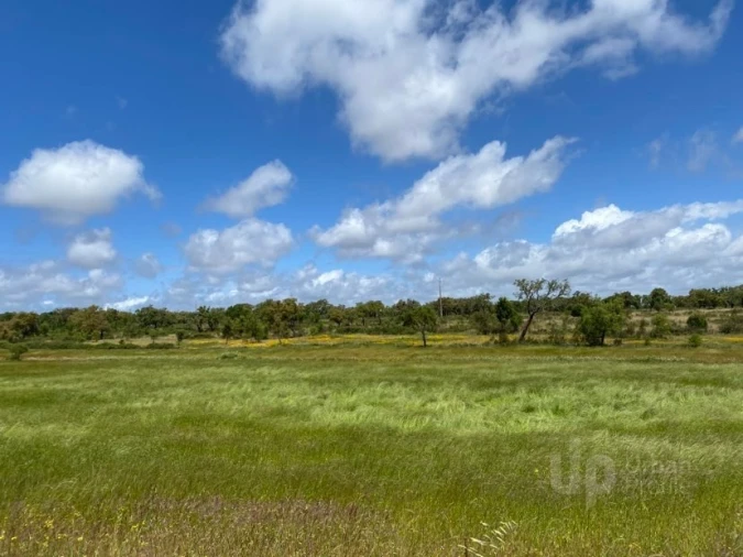 Terreno para Venda em Cercal Foto 1