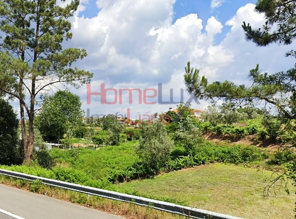Terreno para Venda em Águeda e Borralha Foto 19
