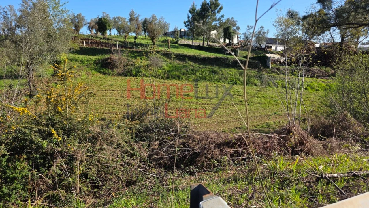 Terreno para Venda em Águeda e Borralha Foto 6