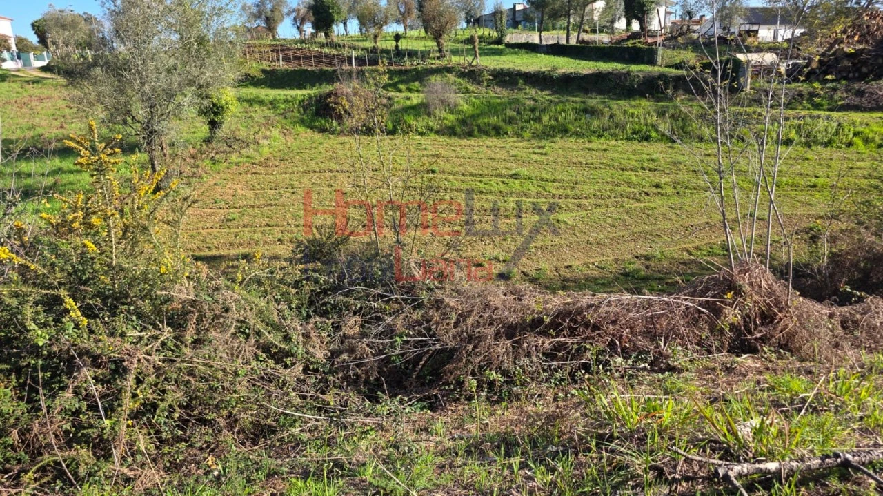 Terreno para Venda em Águeda e Borralha Foto 7