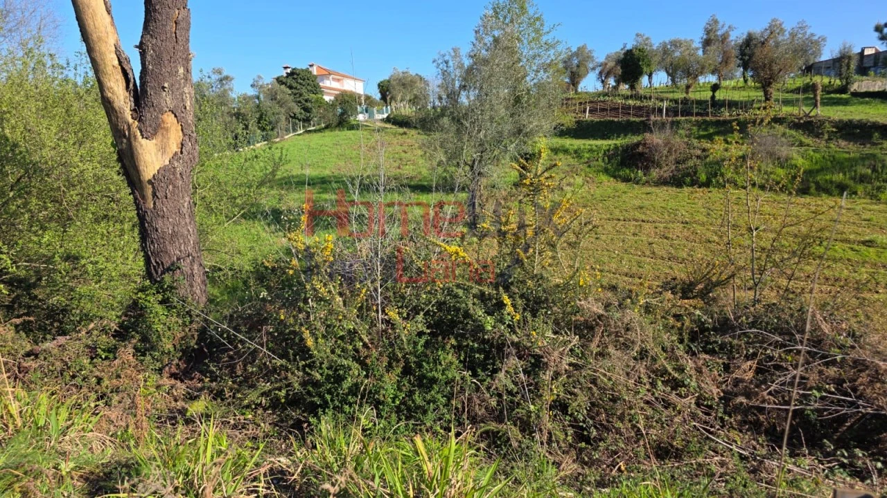 Terreno para Venda em Águeda e Borralha Foto 8