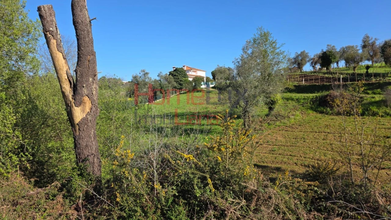 Terreno para Venda em Águeda e Borralha Foto 10