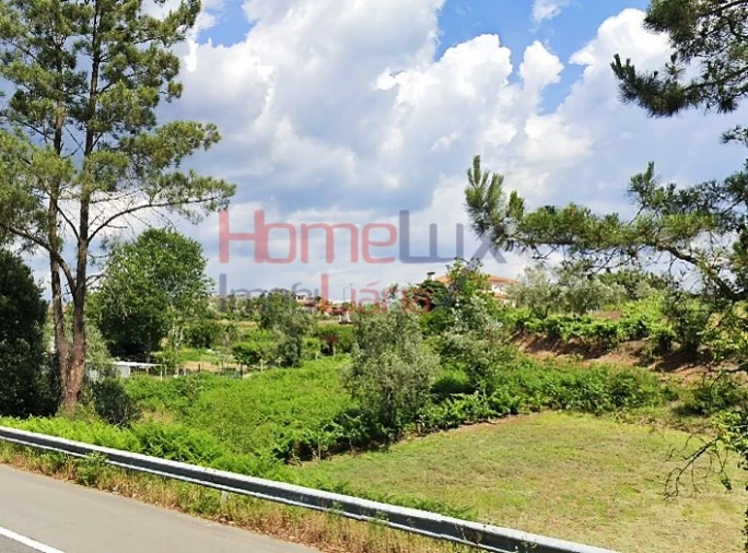 Terreno para Venda em Águeda e Borralha Foto 19