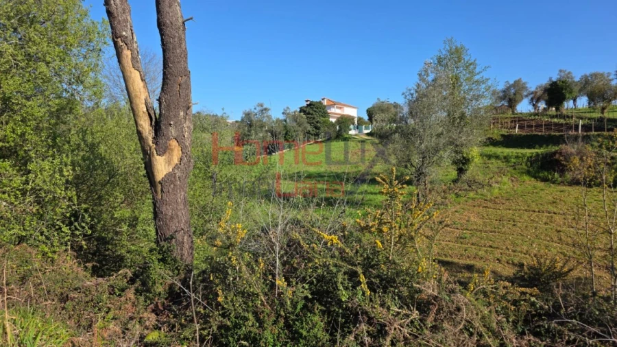 Terreno para Venda em Águeda e Borralha Foto 5
