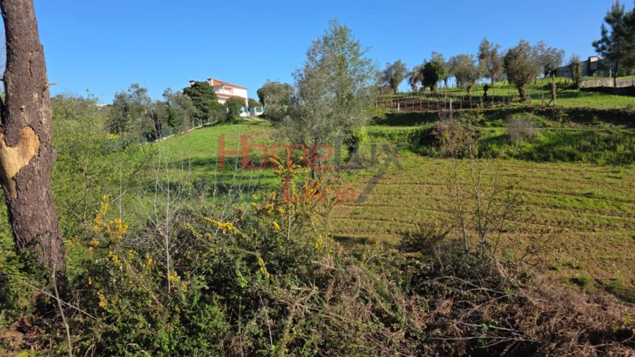 Terreno para Venda em Águeda e Borralha Foto 9