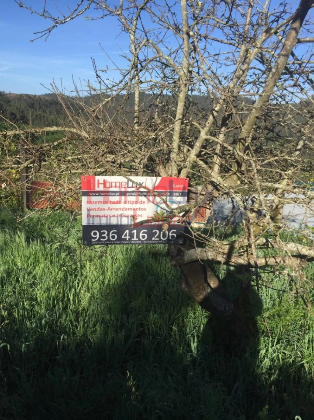 Terreno para Venda em Branca Foto 3