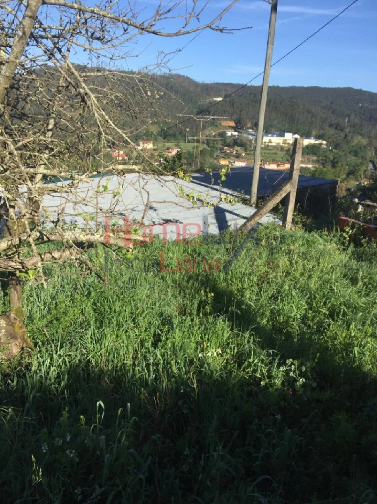 Terreno para Venda em Branca Foto 4