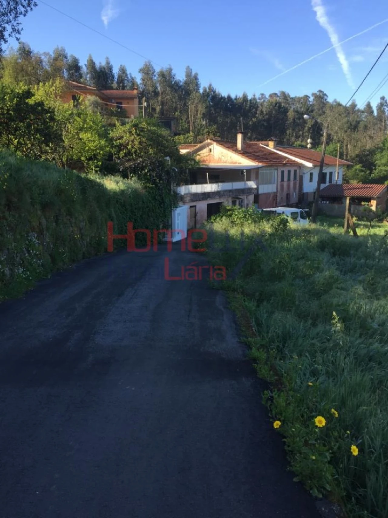 Terreno para Venda em Branca Foto 9