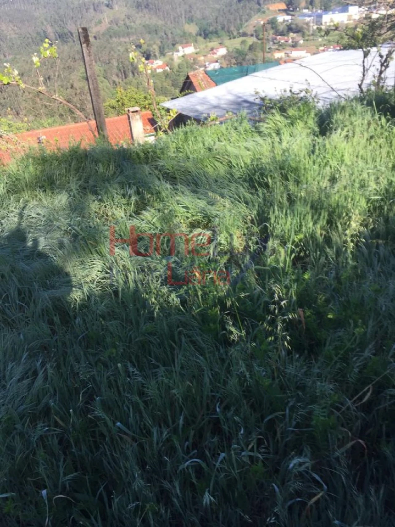 Terreno para Venda em Branca Foto 13