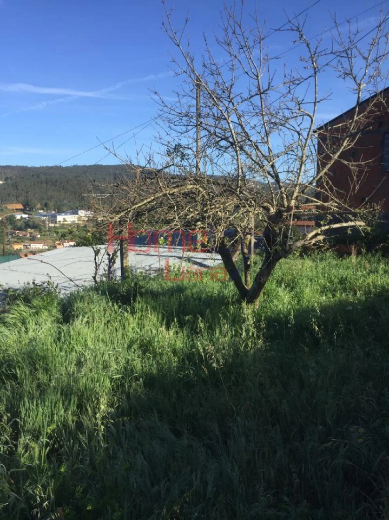 Terreno para Venda em Branca Foto 14