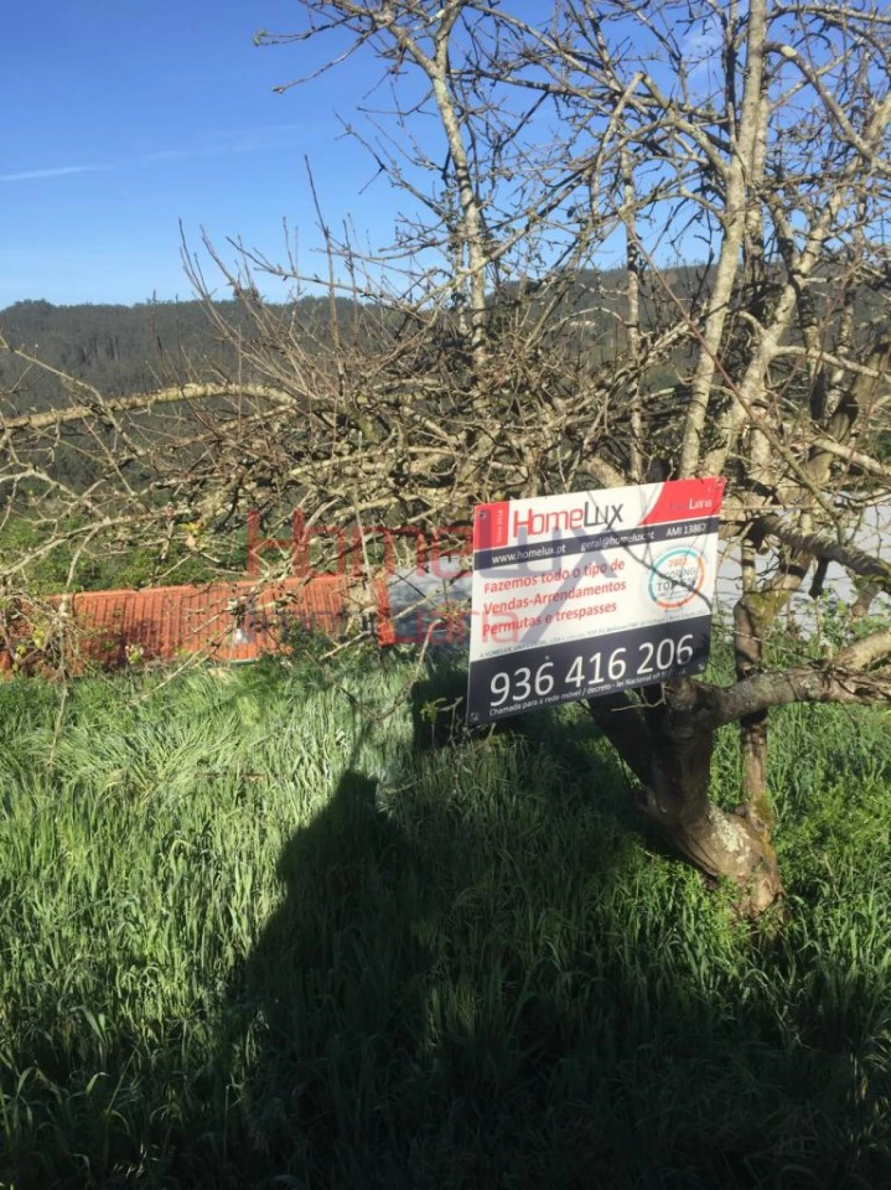 Terreno para Venda em Branca Foto 15