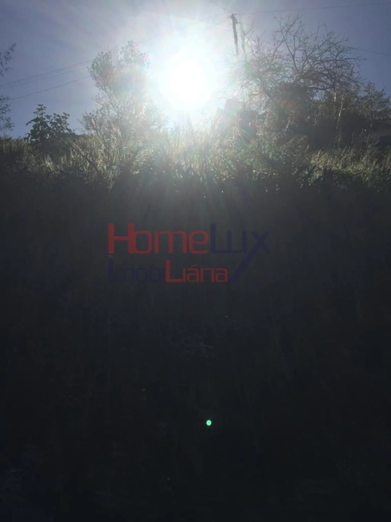 Terreno para Venda em Branca Foto 20