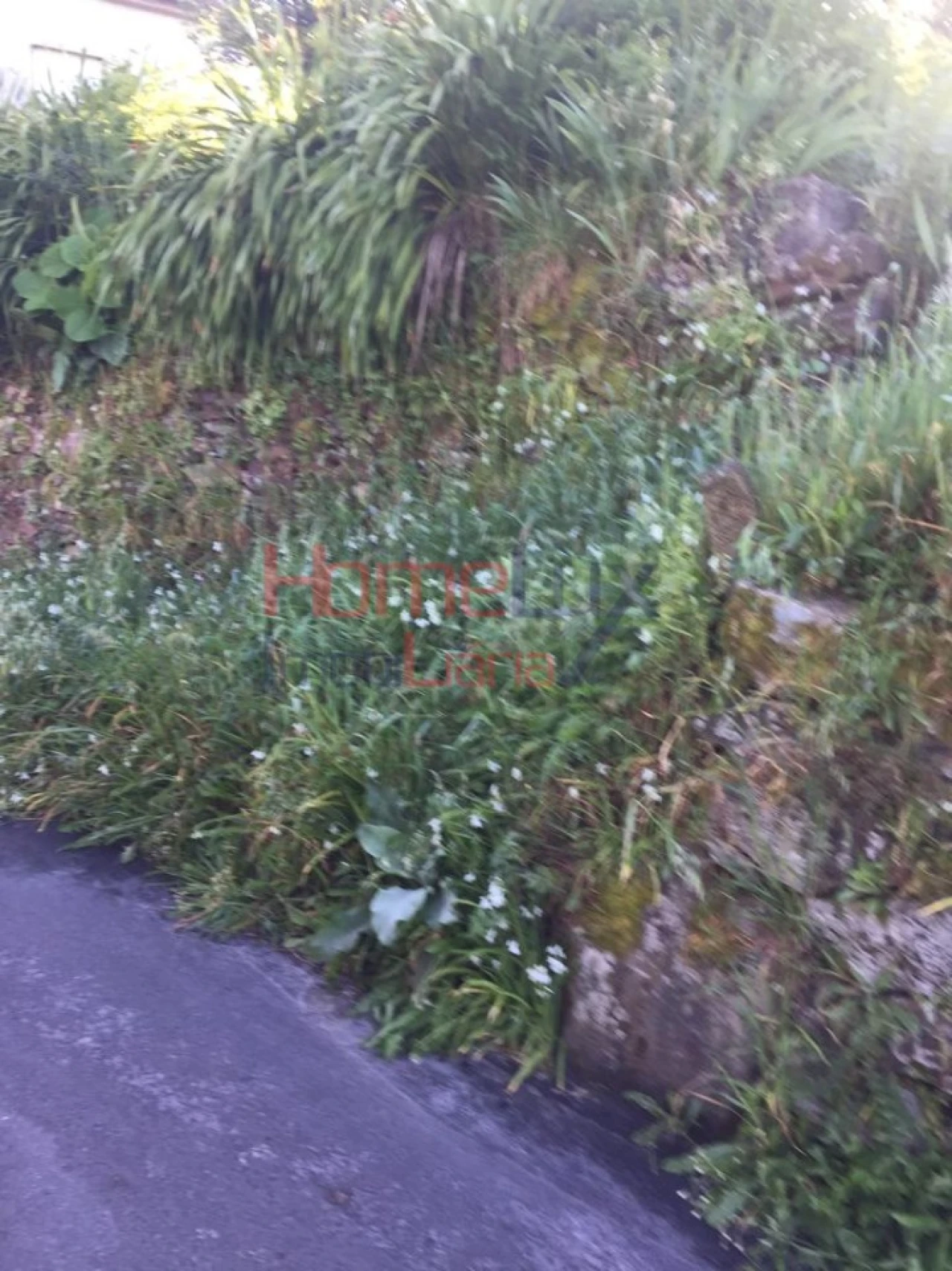 Terreno para Venda em Branca Foto 21