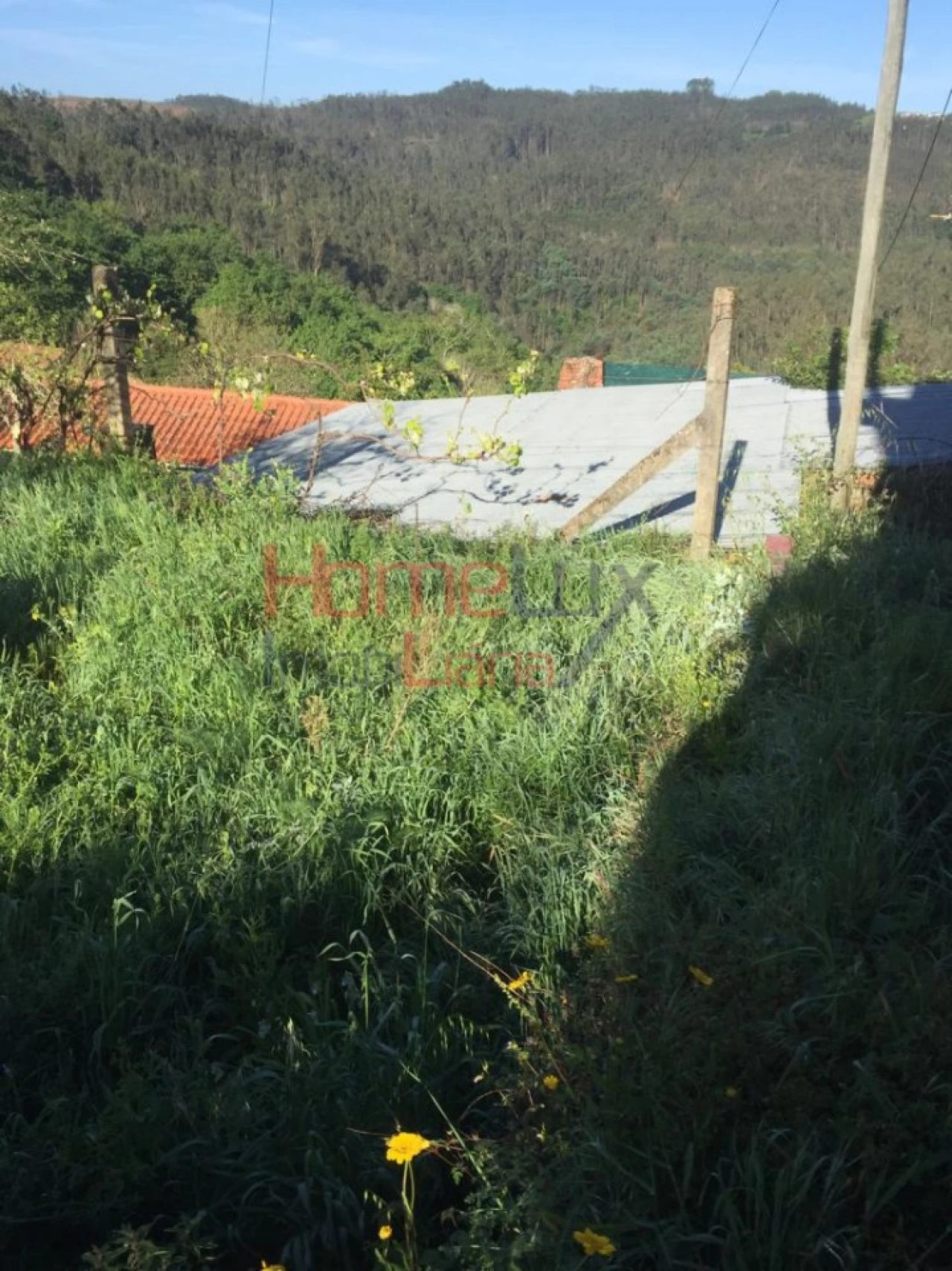 Terreno para Venda em Branca Foto 26