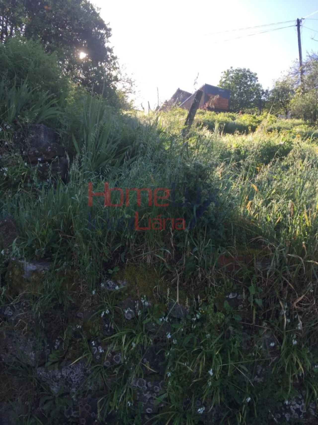 Terreno para Venda em Branca Foto 30