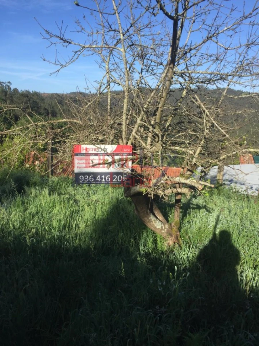 Terreno para Venda em Branca Foto 2