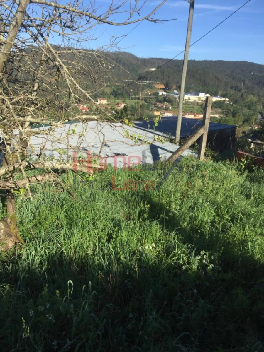 Terreno para Venda em Branca Foto 4