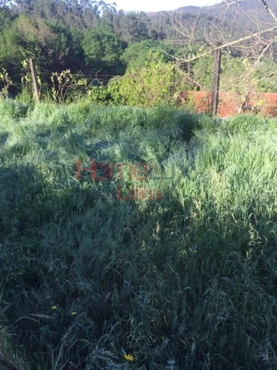 Terreno para Venda em Branca Foto 5